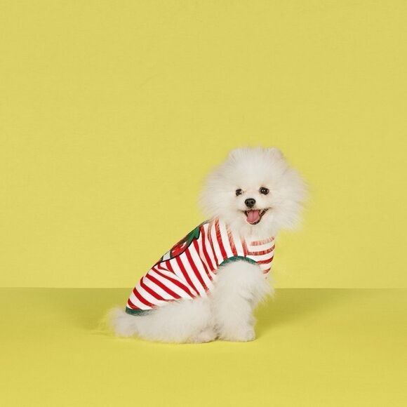 Brand new with tags Striped Red and White Dog Sweater size m